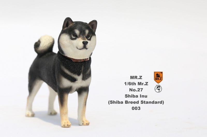 Shiba Inu Dog Black Mr Z Machinegun Shiba Inu Dog Black Mr Z Machinegun